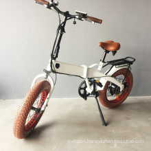 20" Electric Folding Bicycle/ Fat Tire Electric Bike Conversion Kit